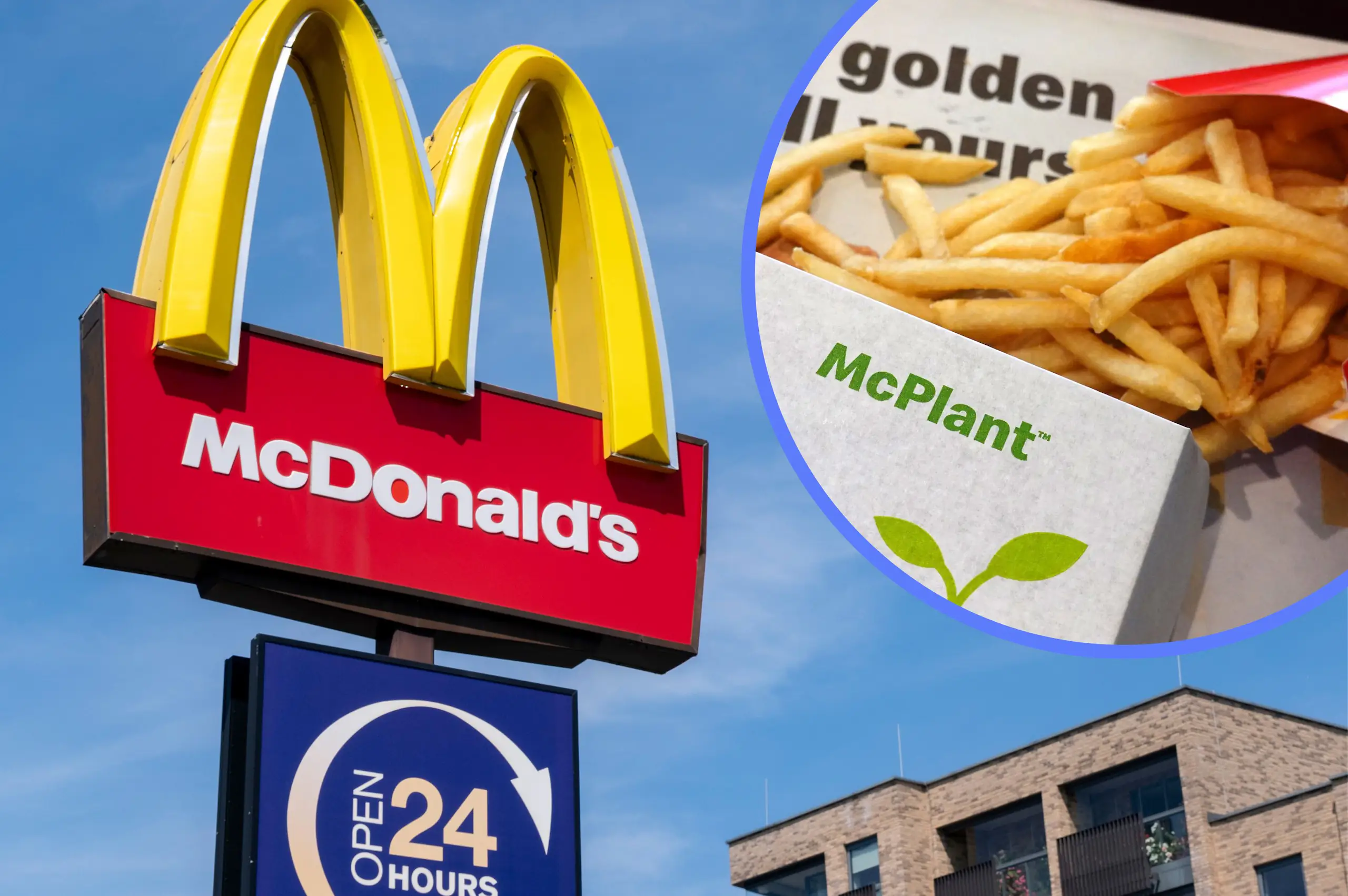 McDonald's scraps mission to bring vegan McPlant to the US after weak trials