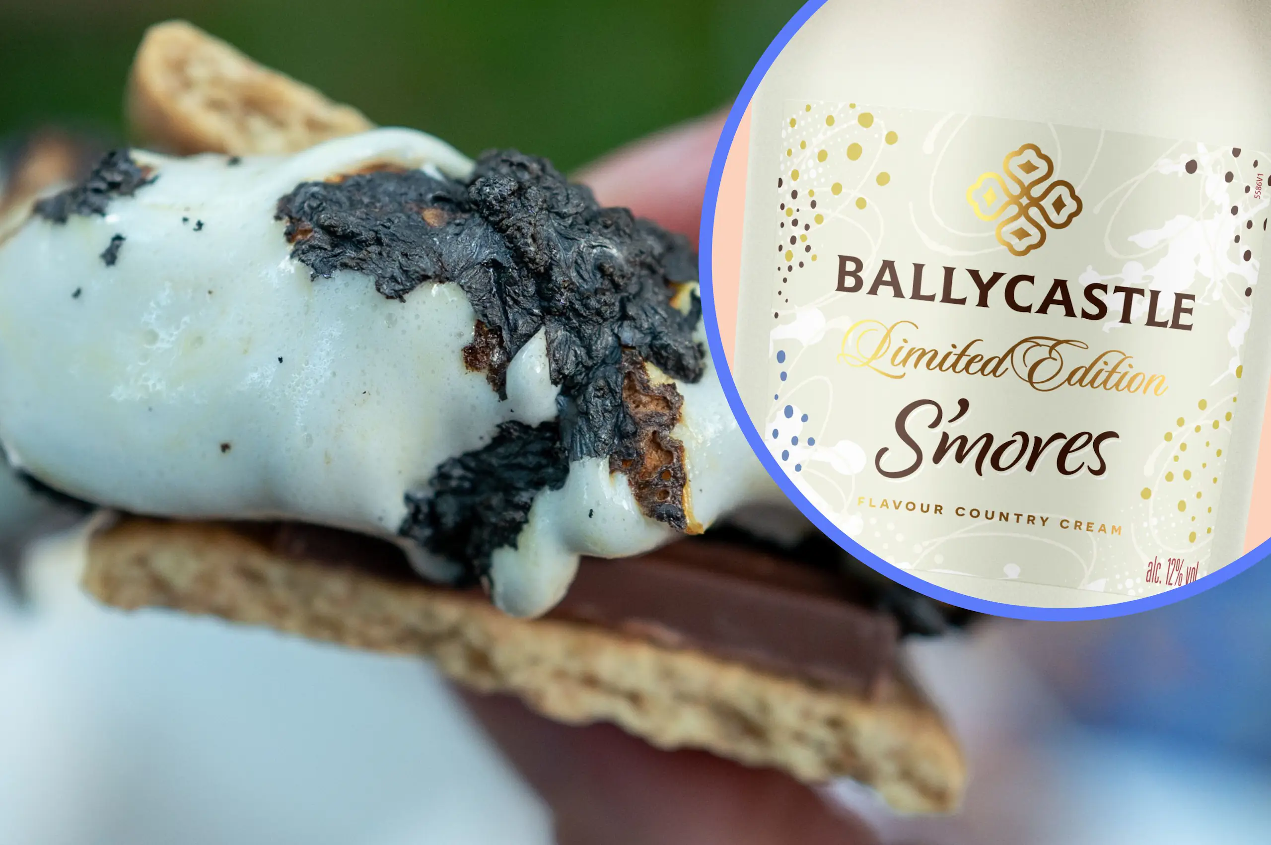 Aldi is bringing out a s'mores cream liqueur for Bonfire Night