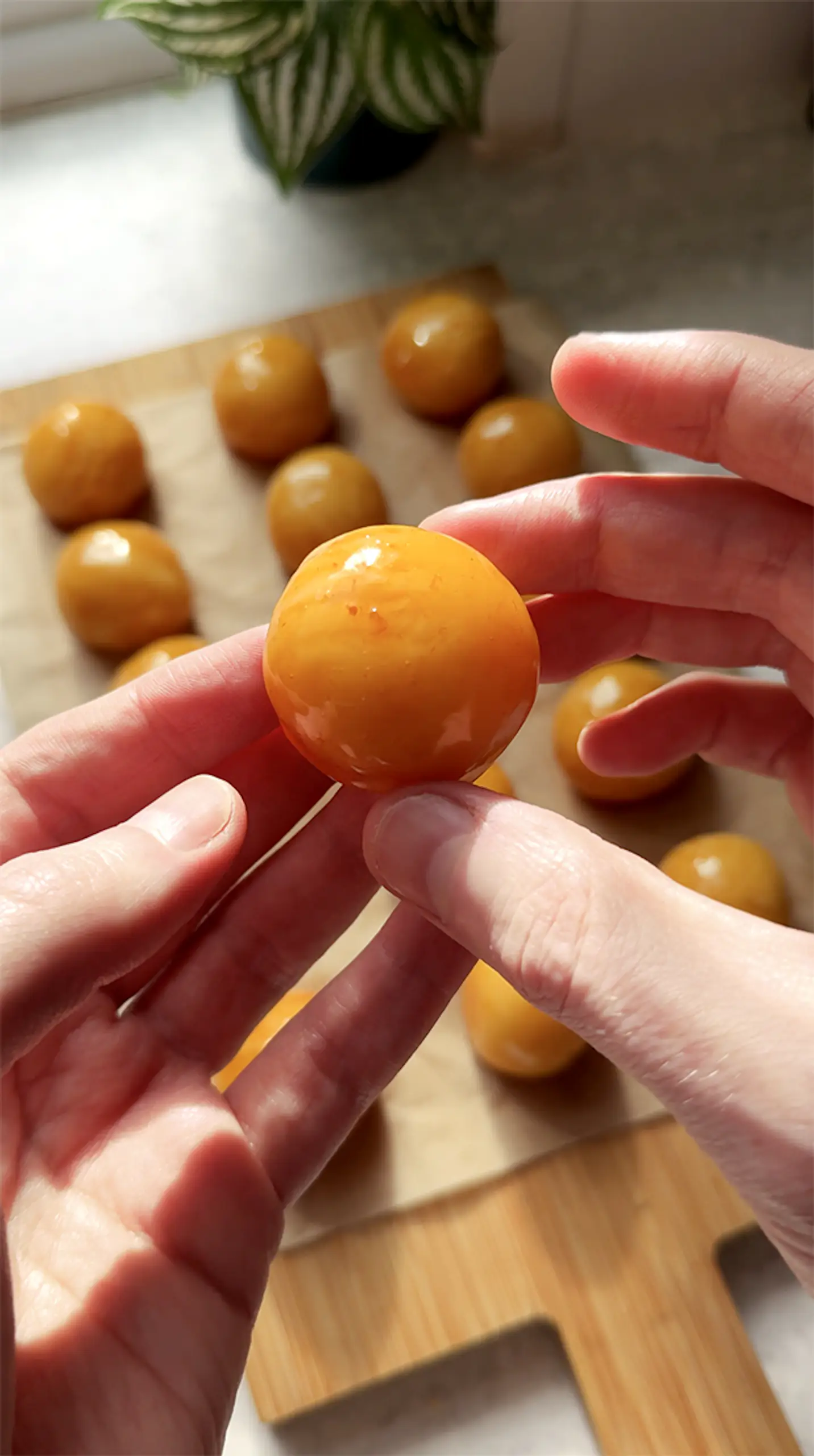 Coconut Bon Bons