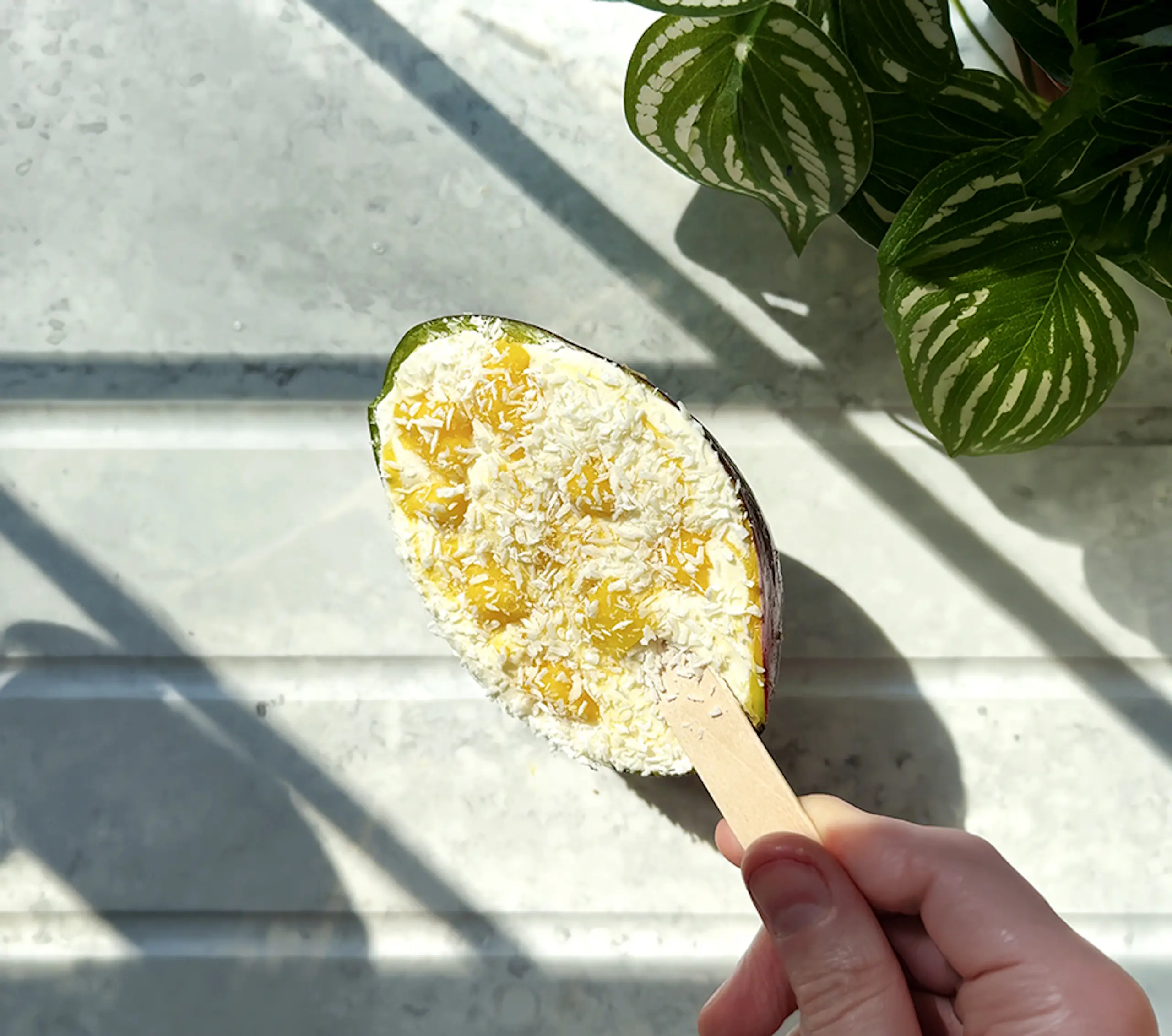 Mango Sticky Rice Creams 