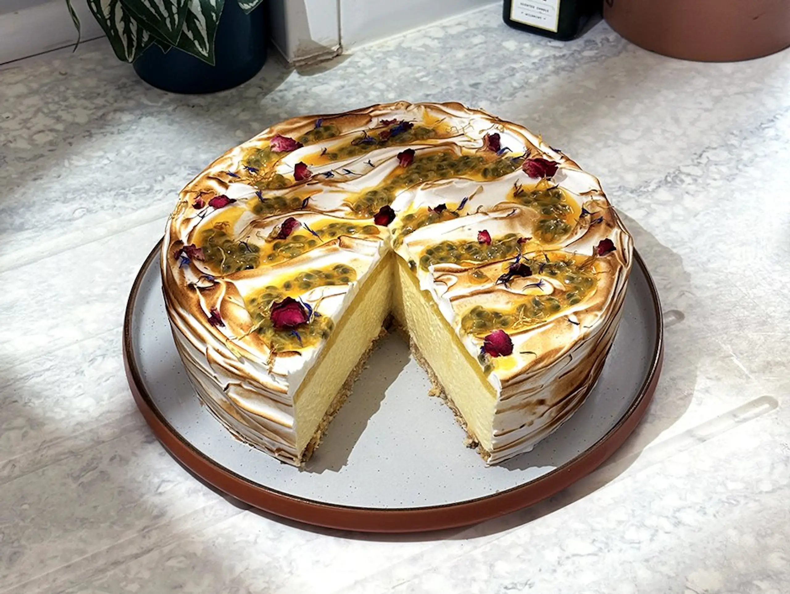 Mango Cheesecake.jpg