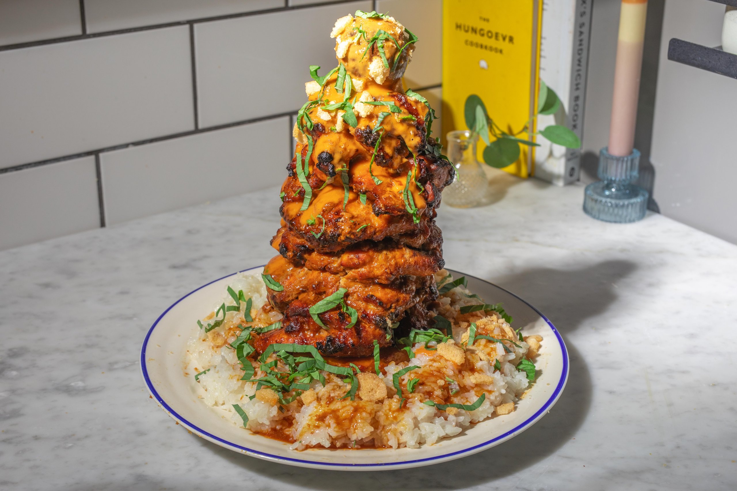 Thai Red Chicken DIY Oven Doner