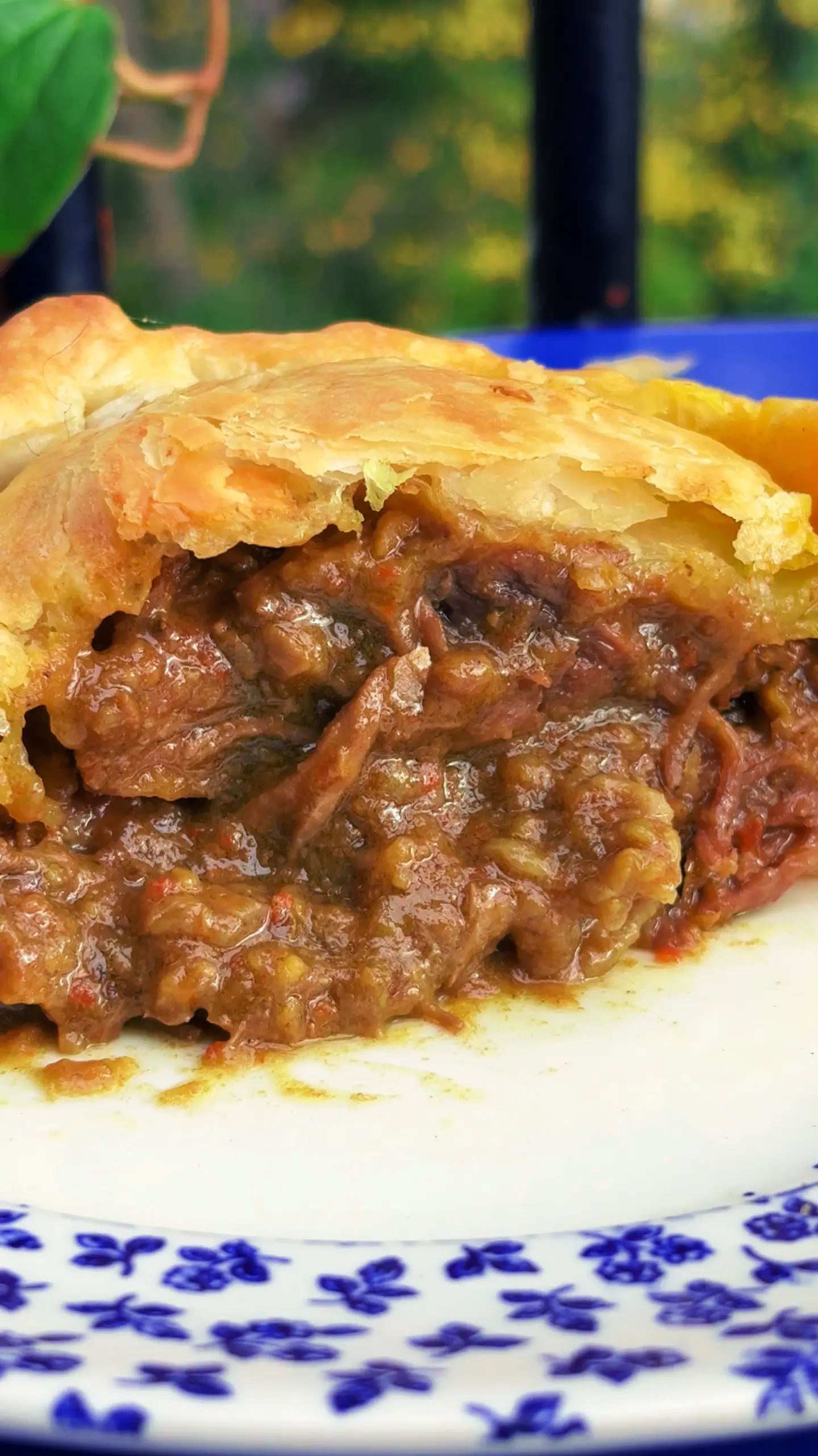 Paratha Pie 2.png