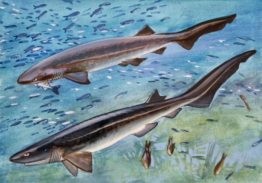 Credit: DE AGOSTINI PICTURE LIBRARY / Getty