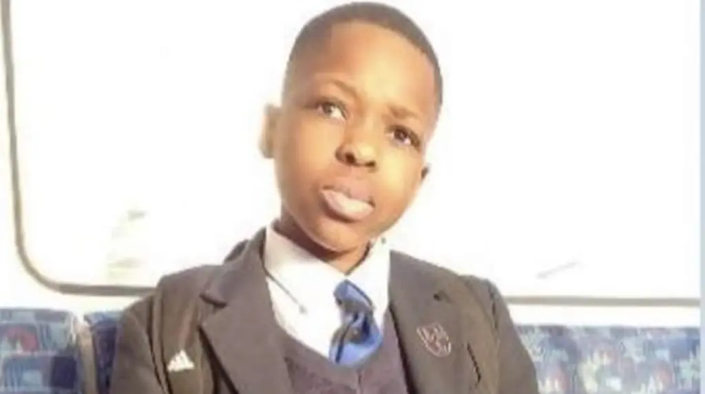 Police release image of Daniel Anjorin, the 14-year-old boy killed in the attack. Credit: Metropolitan Police 