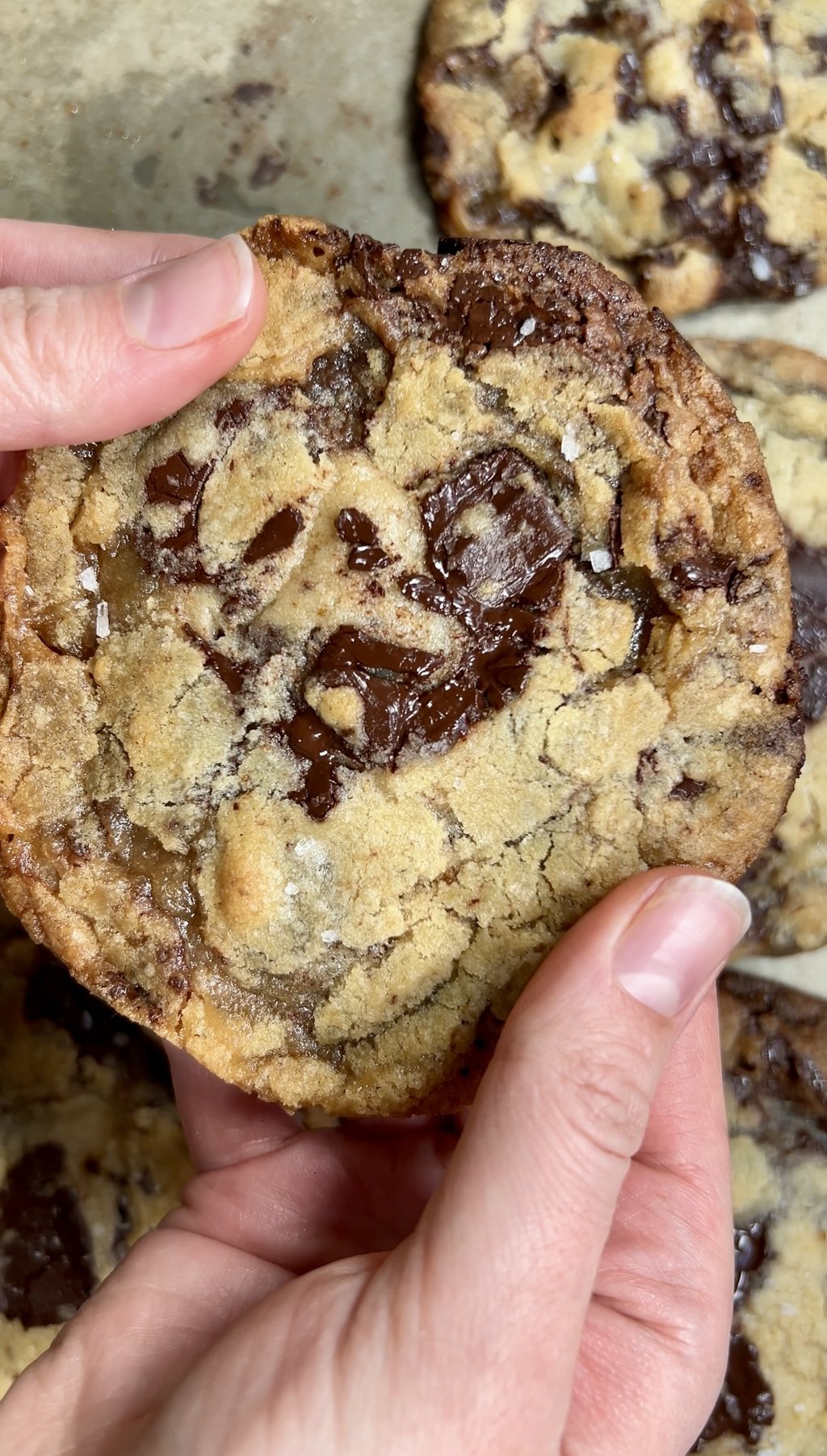 The perfect vegan chocolate chip cookie-image
