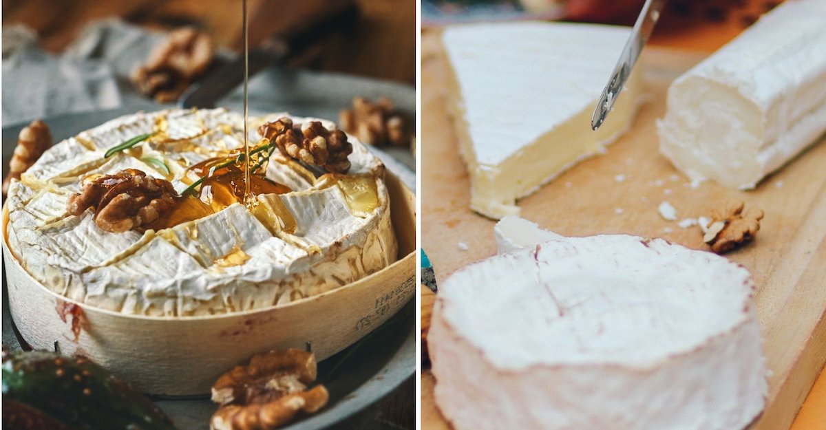 Concerns brie and camembert to 'go extinct', according to scientists