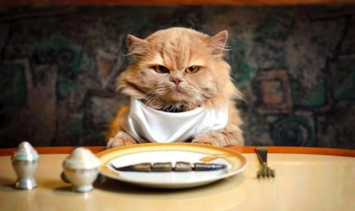 10 Clear Signs You’re Guilty of Hanger