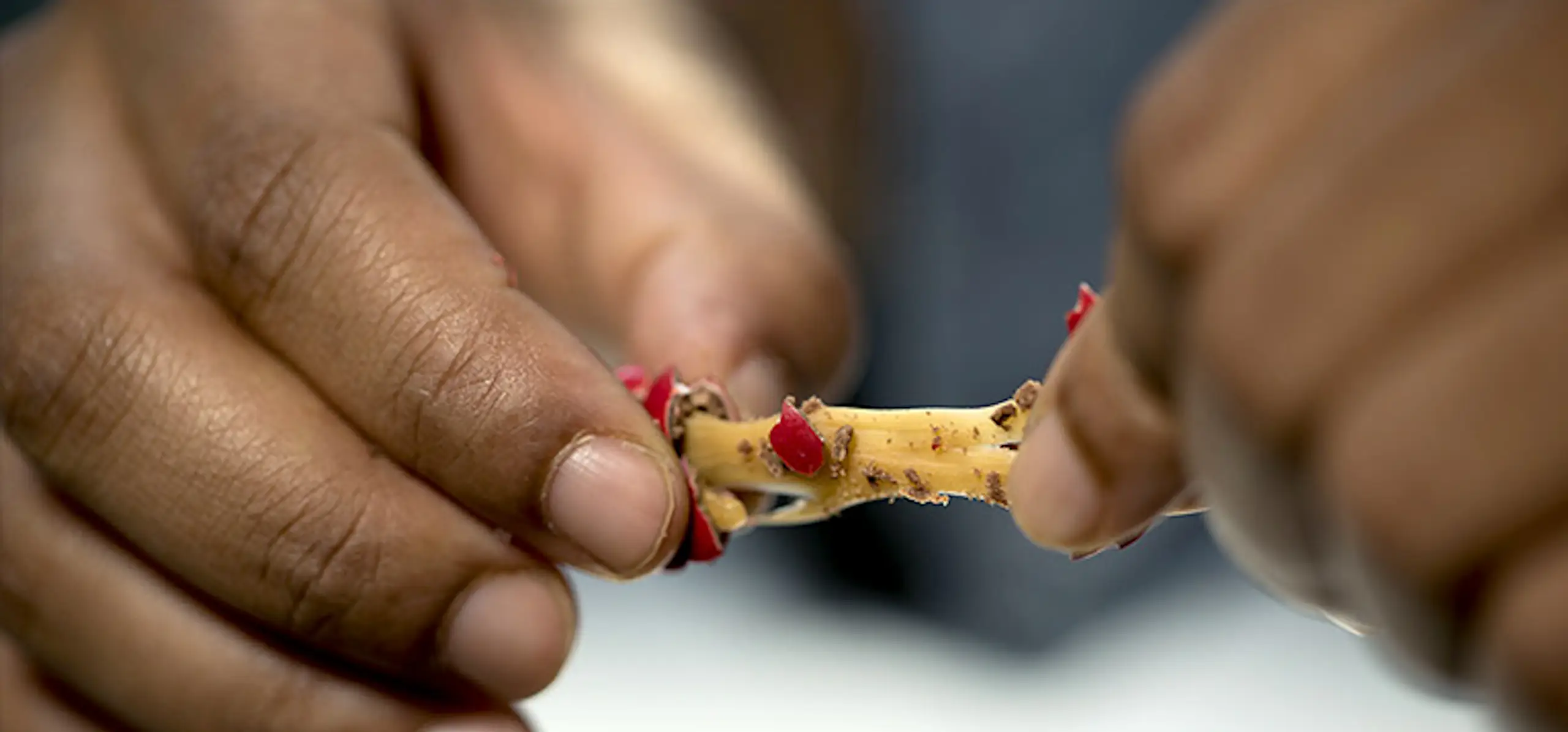 Breaking News In The World Of Candy As M&M’s Make A Huge Announcement