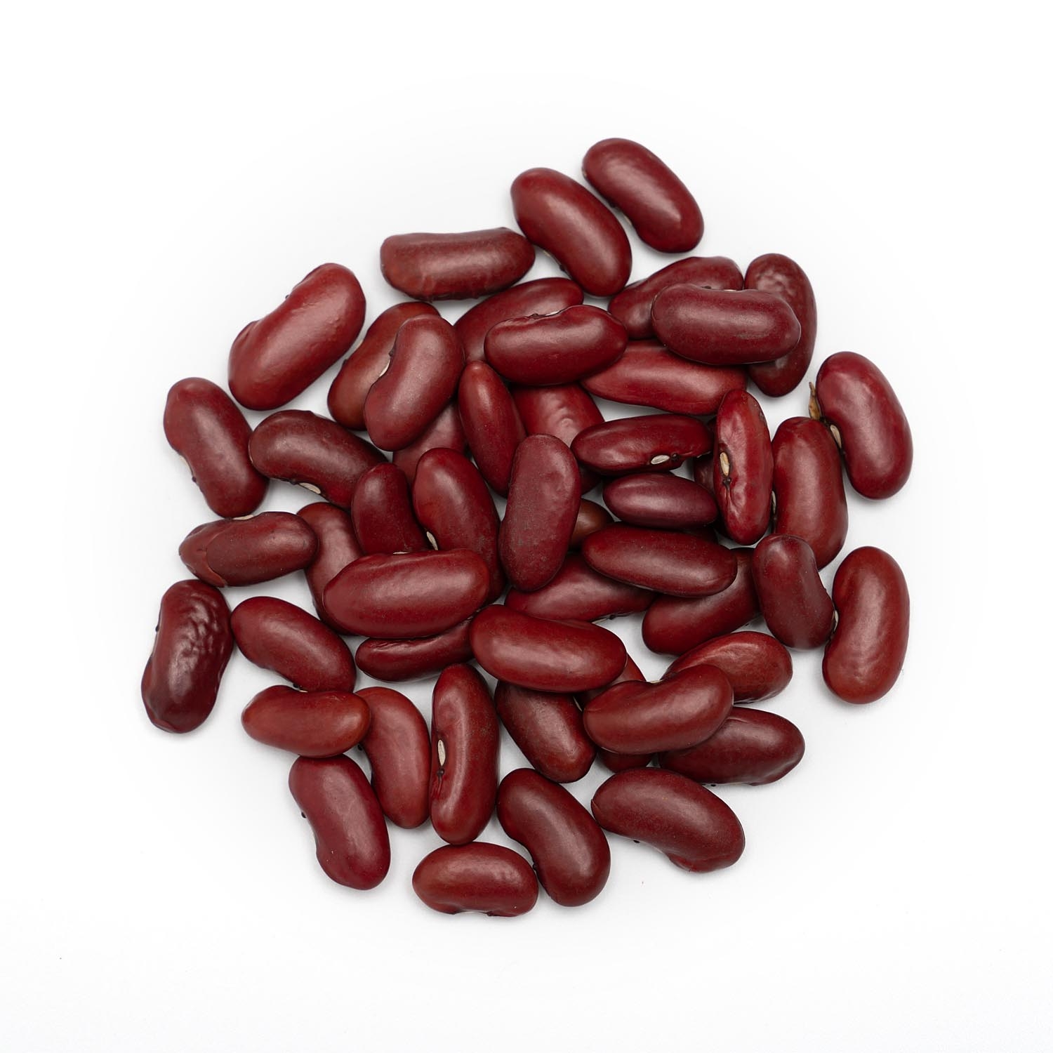 are red kidney beans poisonous