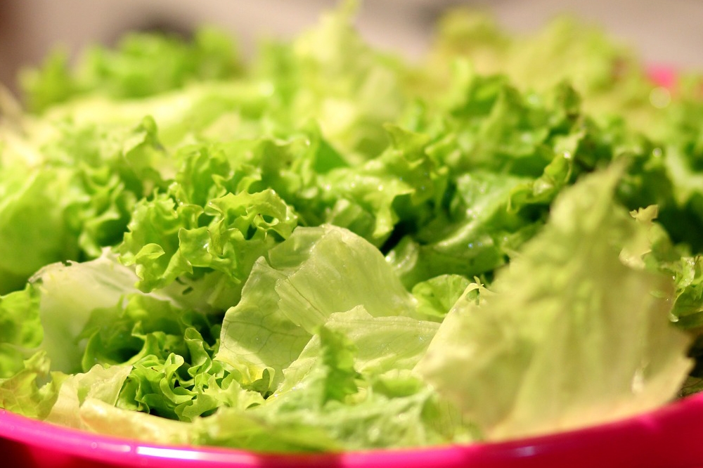 Why does lettuce make you sleepy?