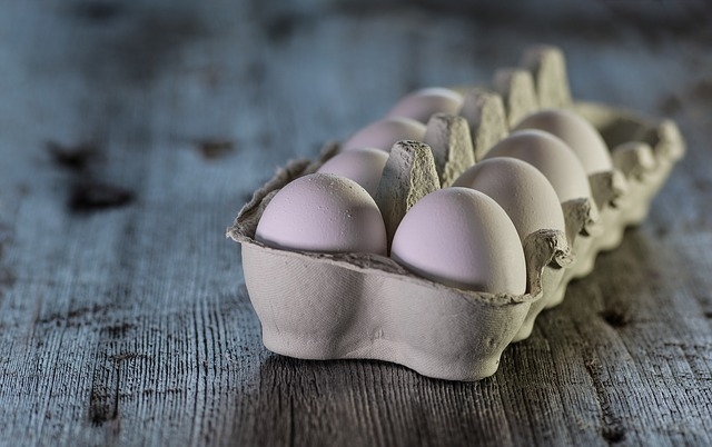 egg shells
