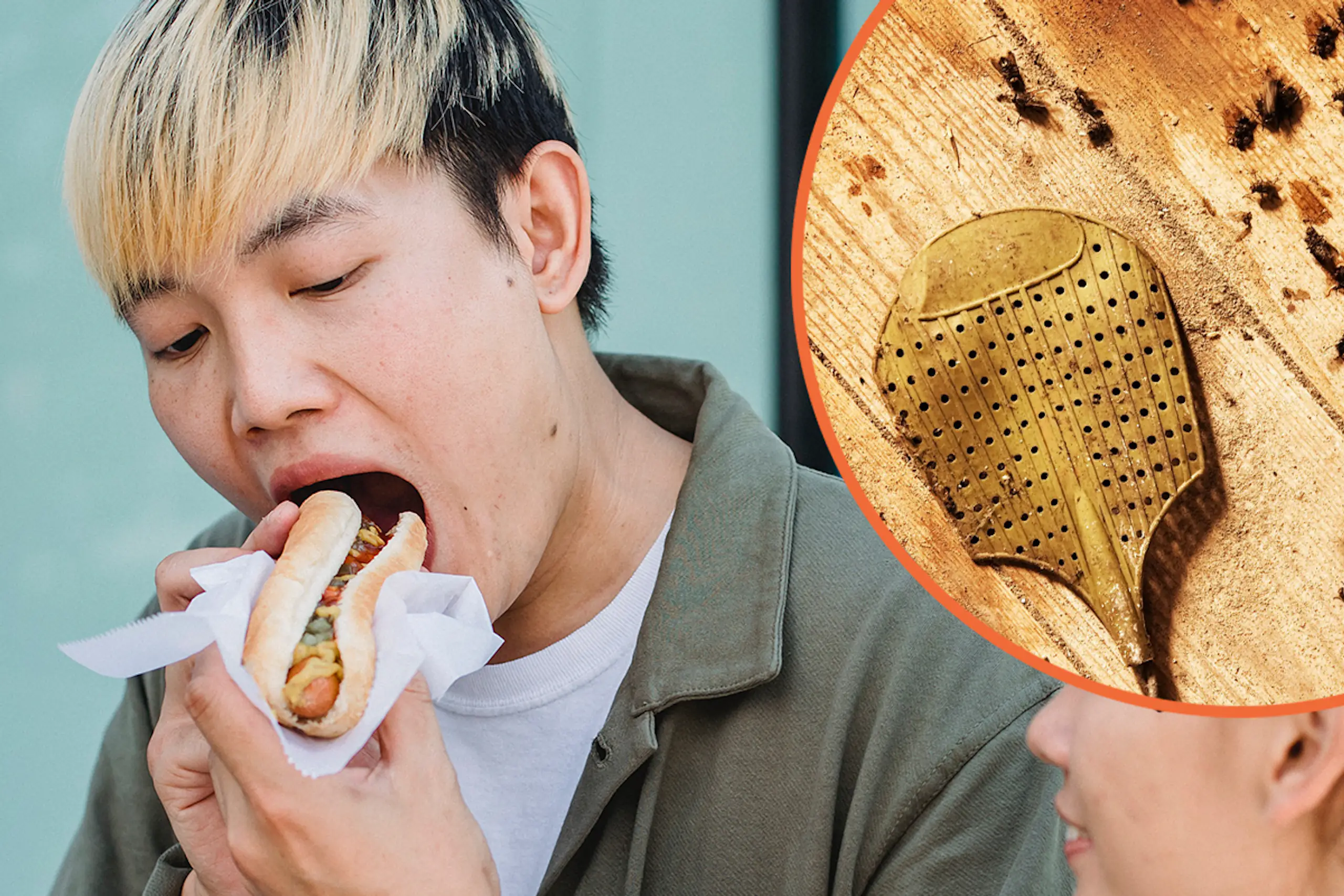 Is it safe to eat food a fly landed on? Food hygiene expert sets record straight