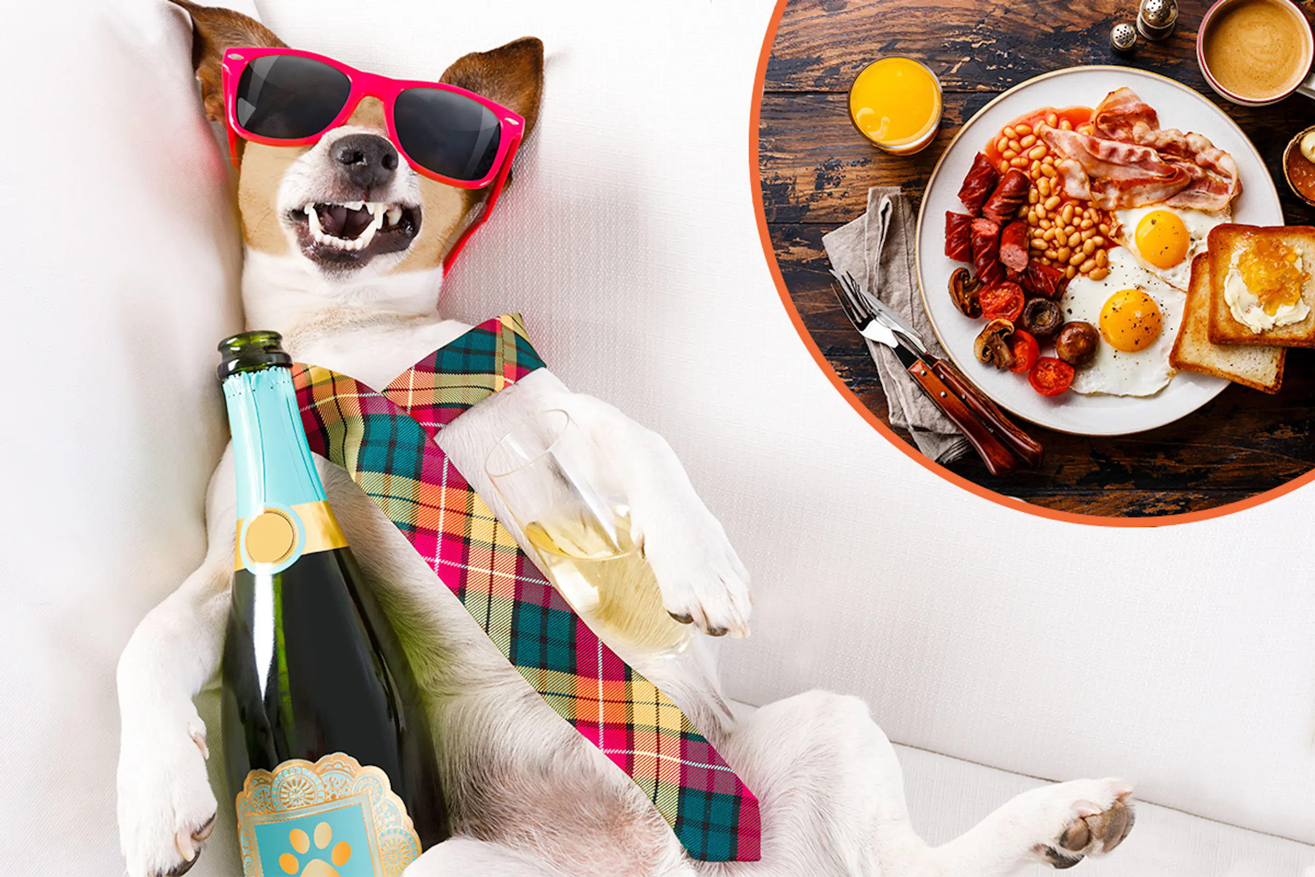 Best hangover food revealed – here’s what to eat the next day after drinking