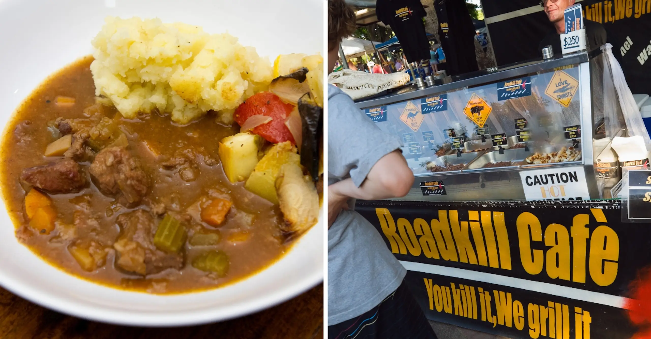 Can you eat roadkill? Surprising benefits revealed