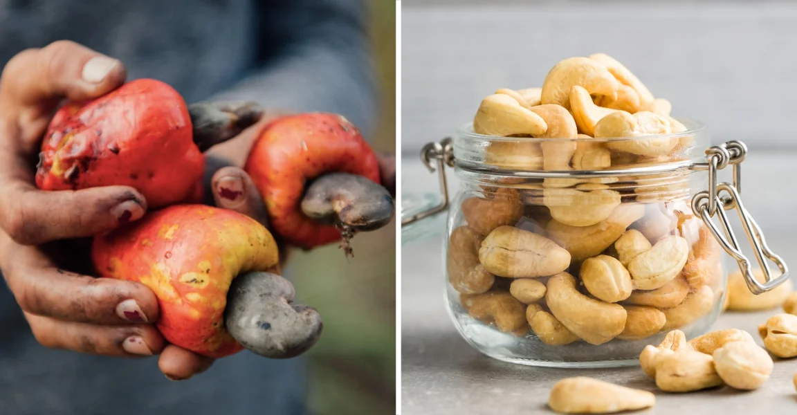 Where do cashew nuts come from? Human Rights Watch speaks out