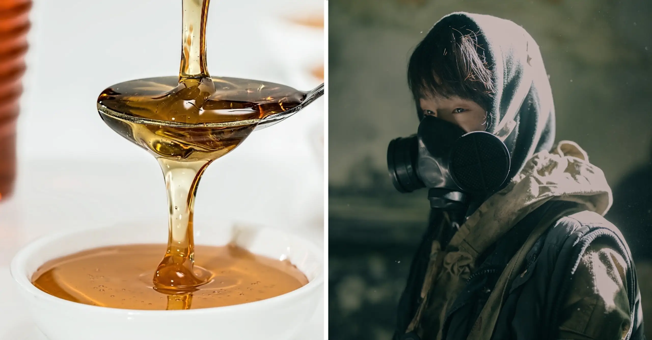 What food has the longest shelf life? Supplies you’d in the apocalypse