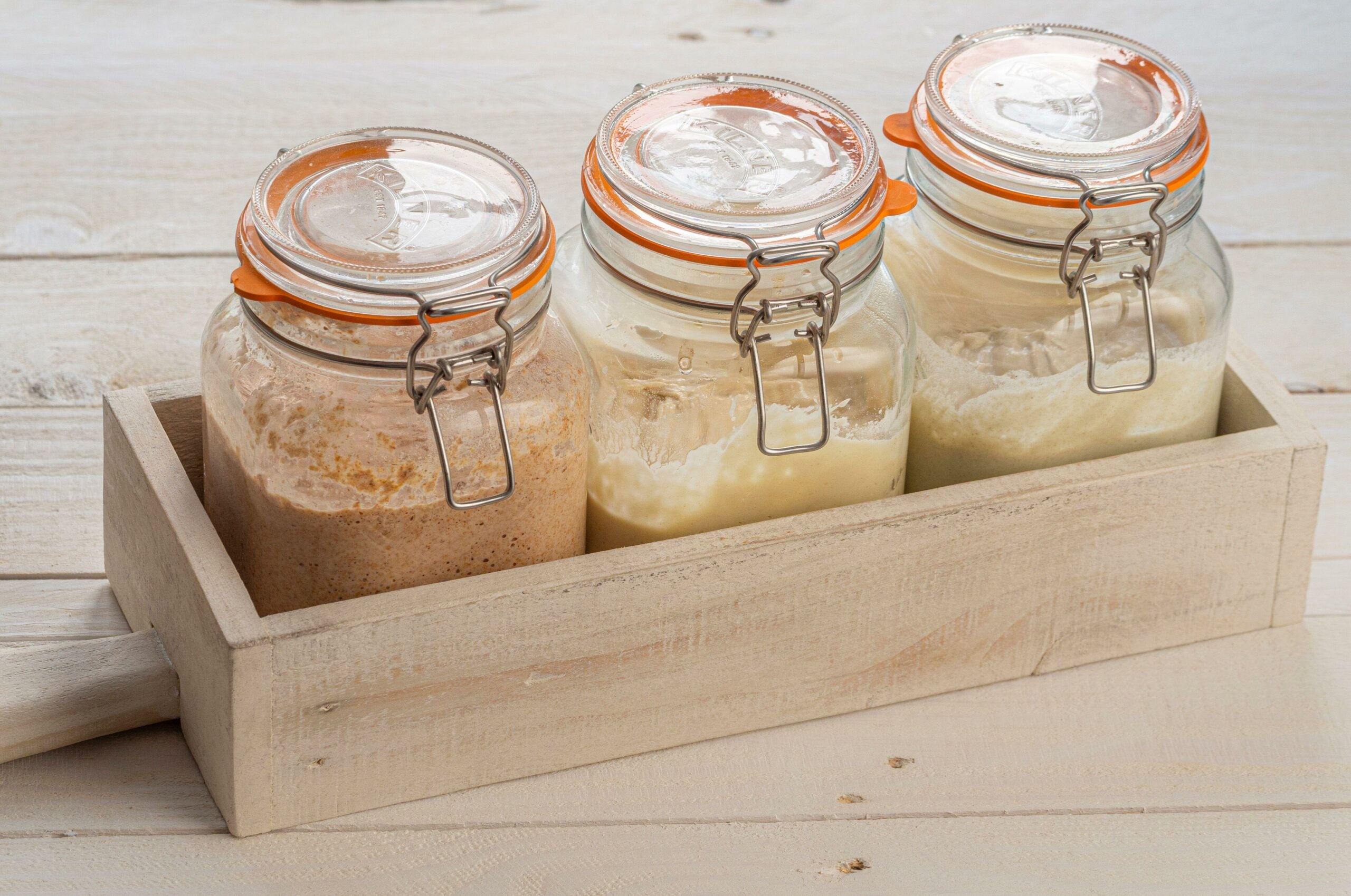 Sourdough starters