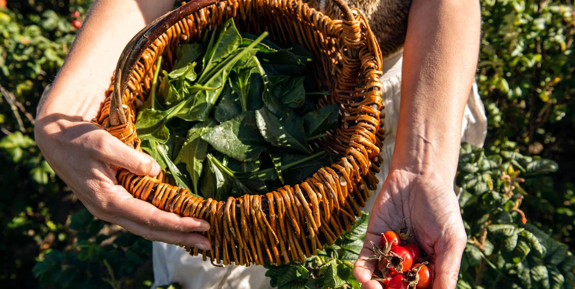 Urban Foraging: food you can harvest in the city