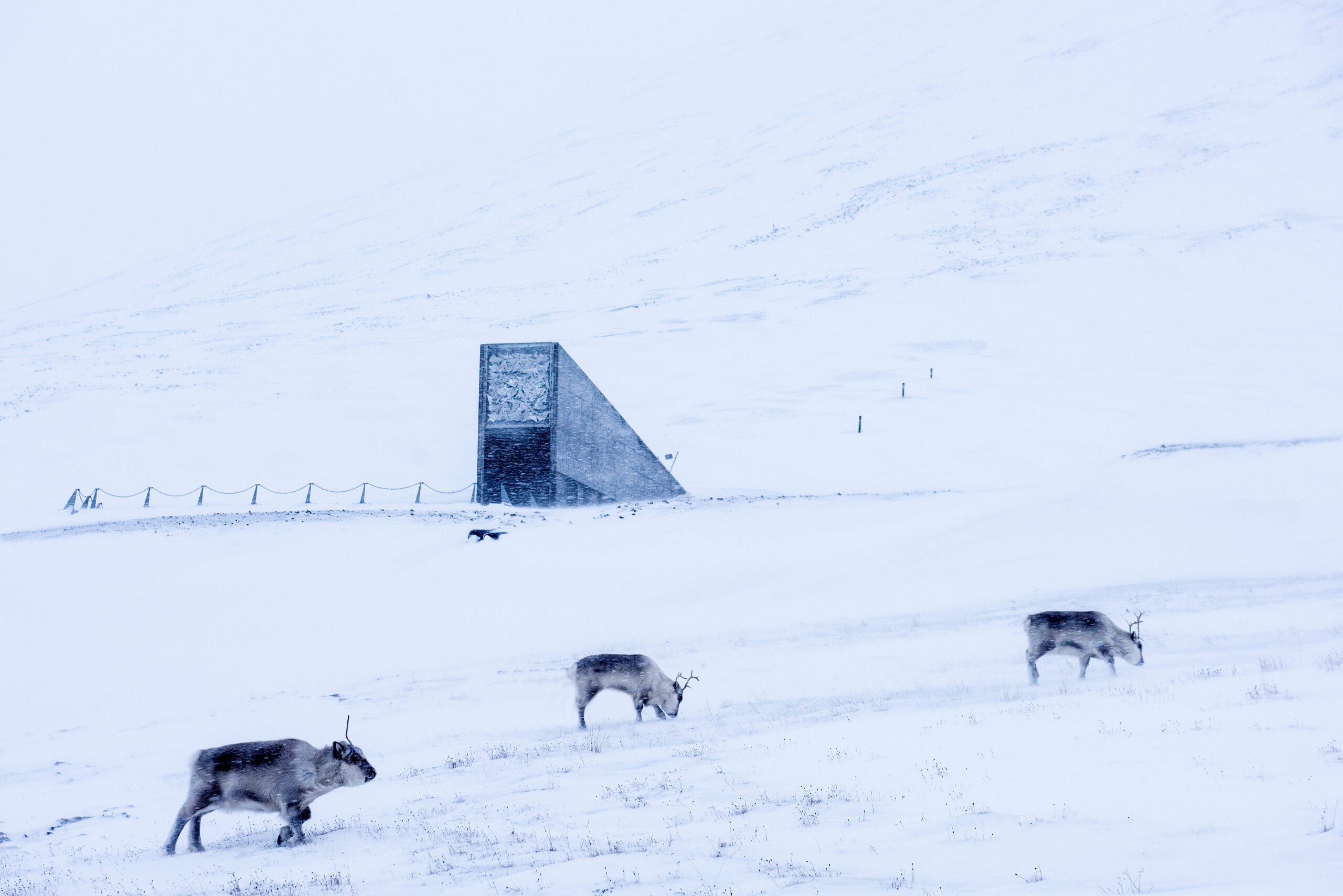 Svalbard Seed Vault