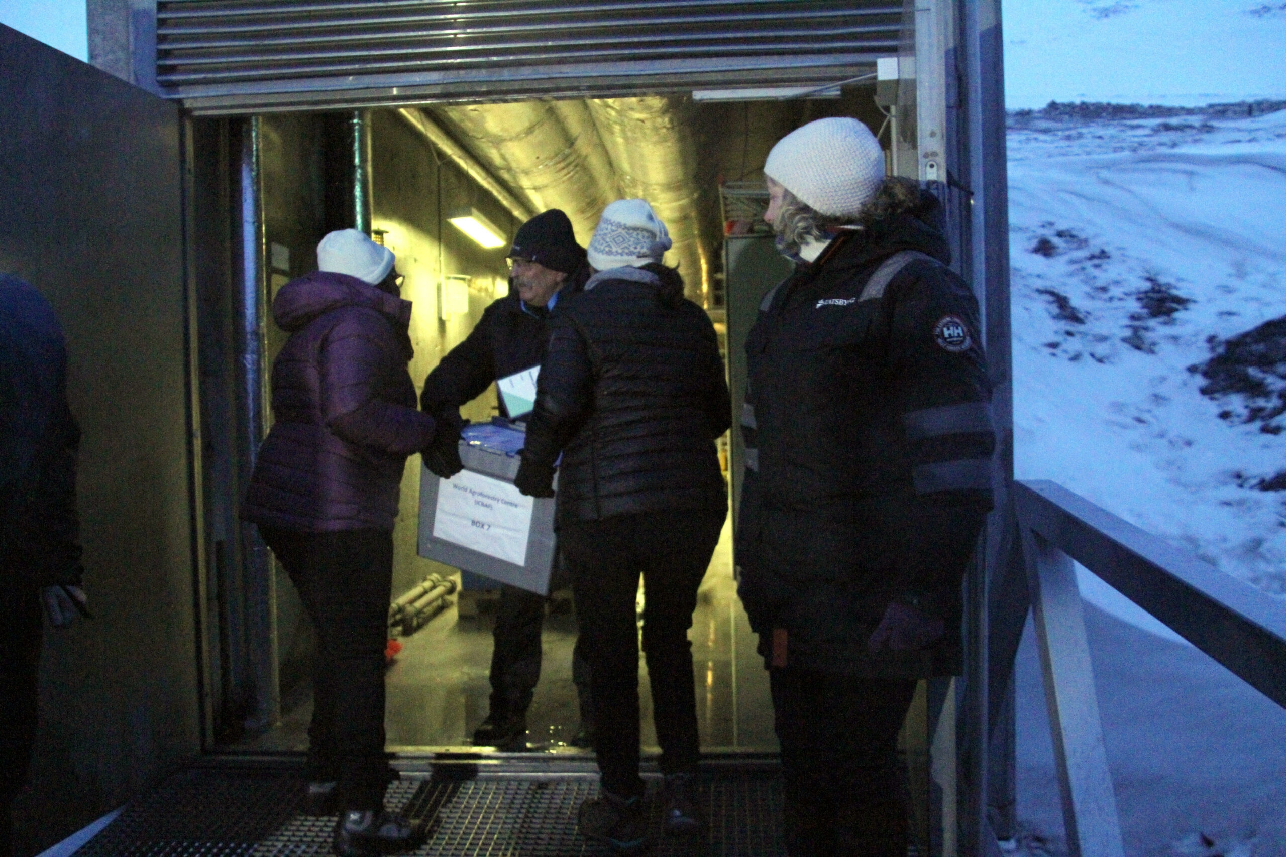 Svalbard vault