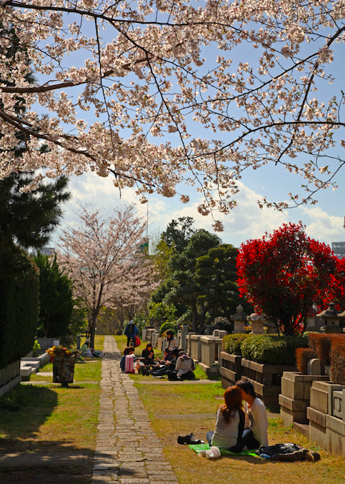 picnic in cemeteries