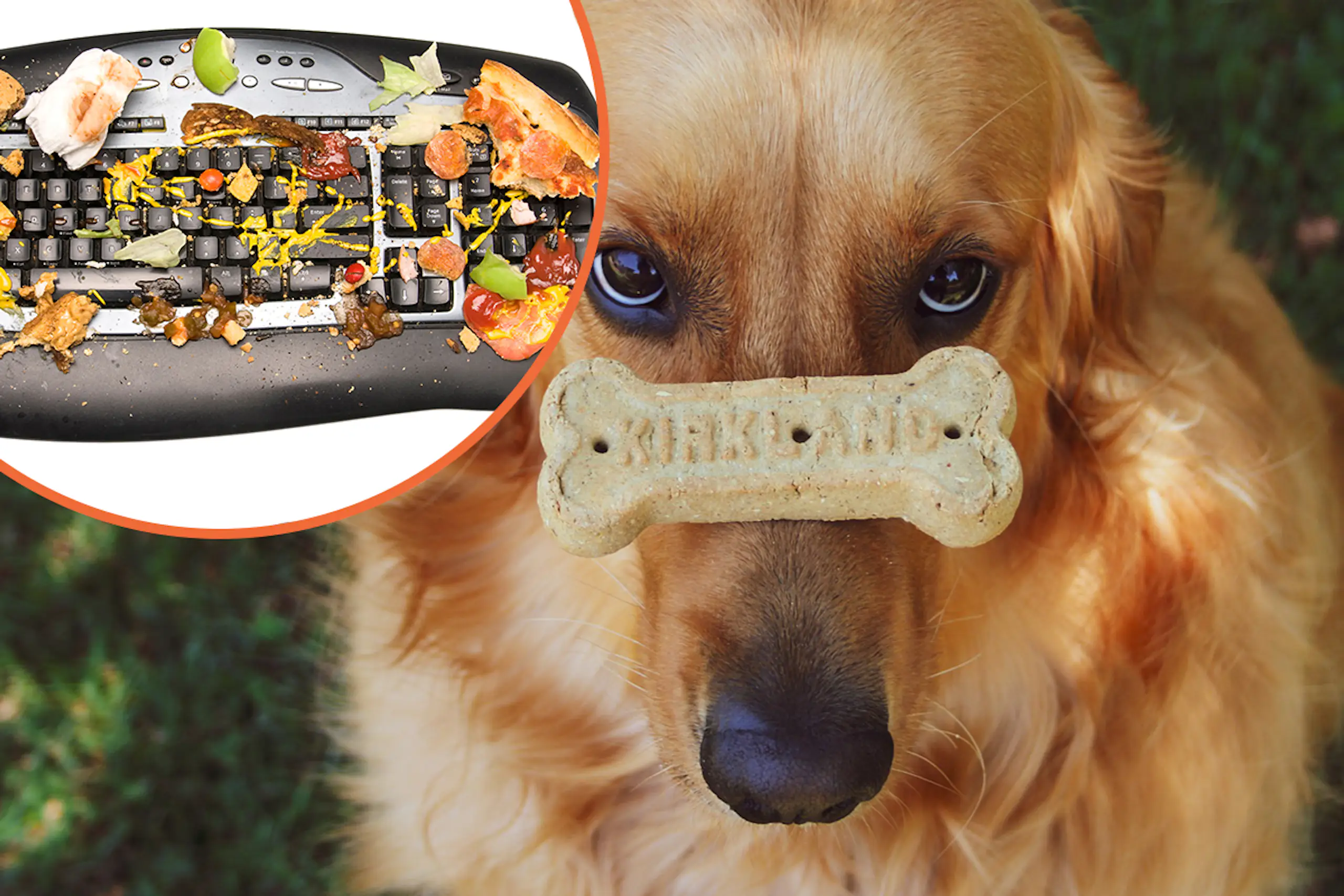 7 world food days that are so ridiculous you won’t believe they actually exist