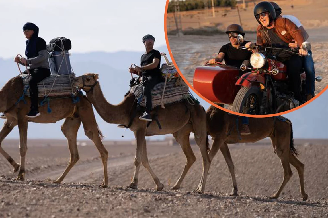 When is Gordon, Gino and Fred back on TV? Latest news on ITV’s 2021 series