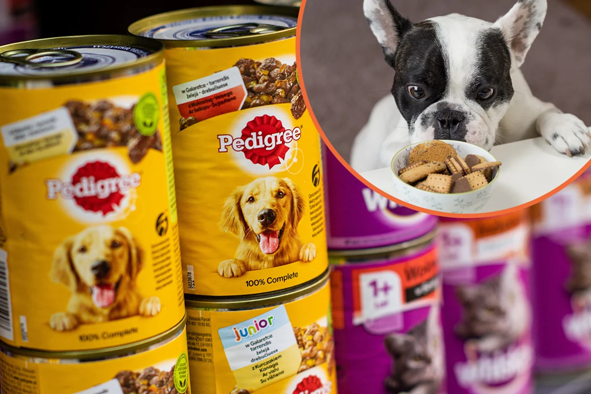 Your dog can earn £100 a month as a pet food critic