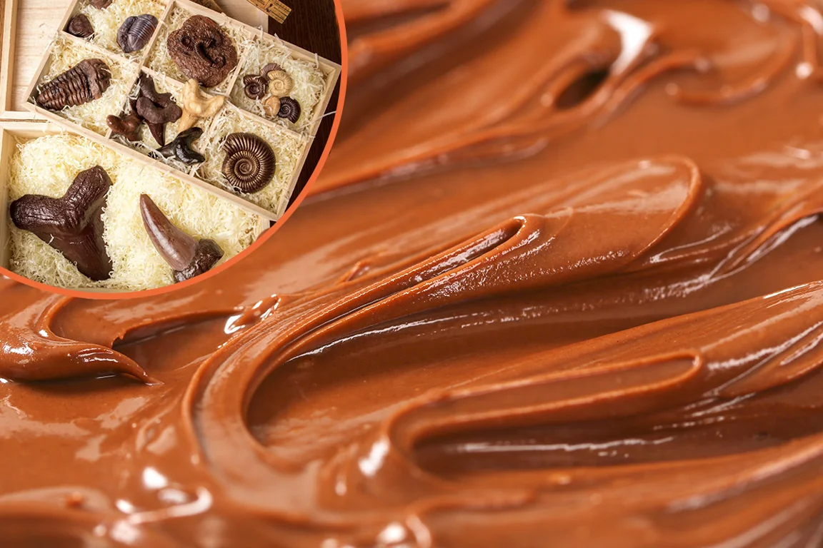 ‘Edible Museum’ food artist specialises in creating chocolate body parts and fossils