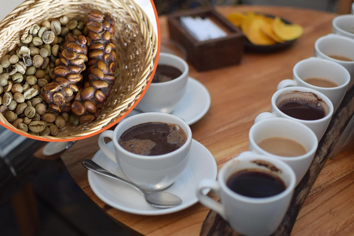 Why is Kopi Luwak coffee the most expensive in the world?