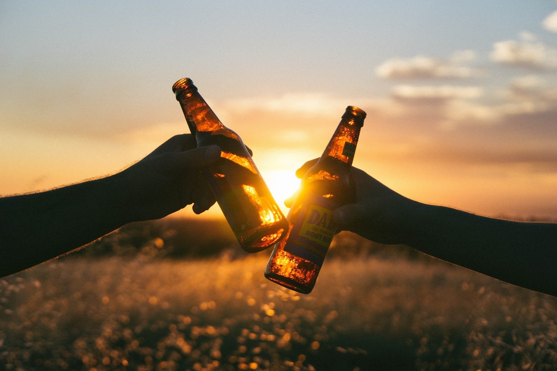 beers in a field