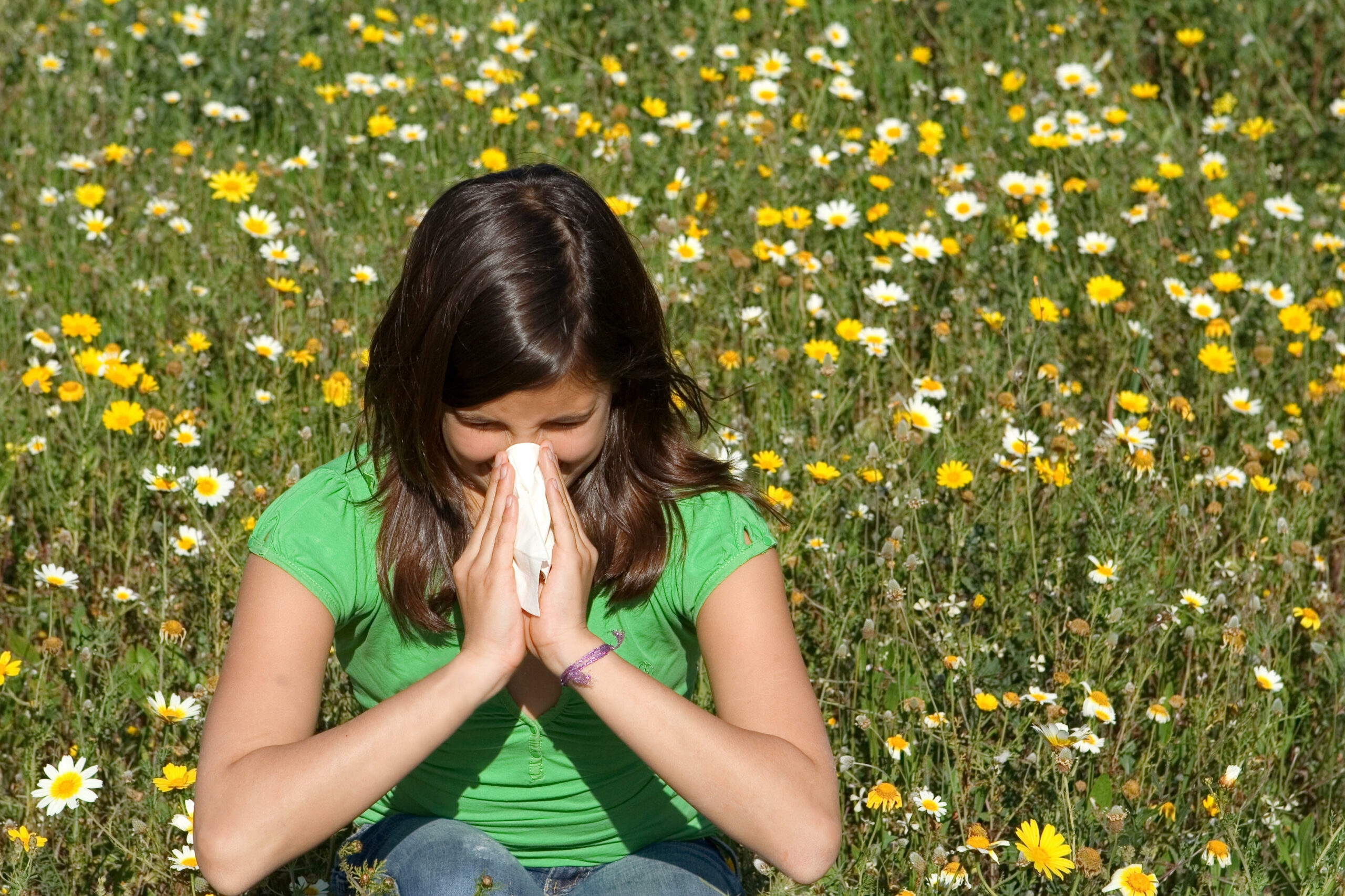 Hayfever gin