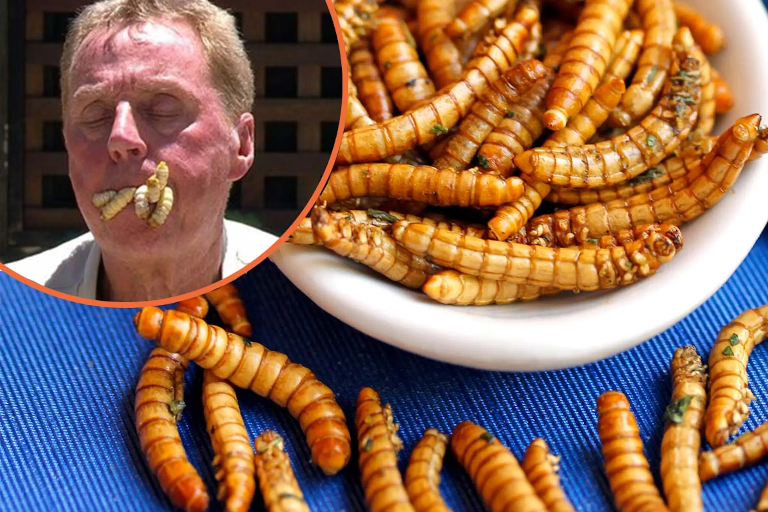Bugs and insects are the sustainable food of the future – it’s time to stop squirming at them