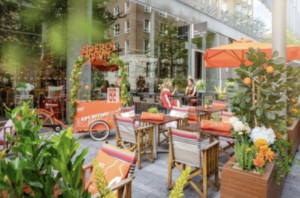 dog corgi cafe london