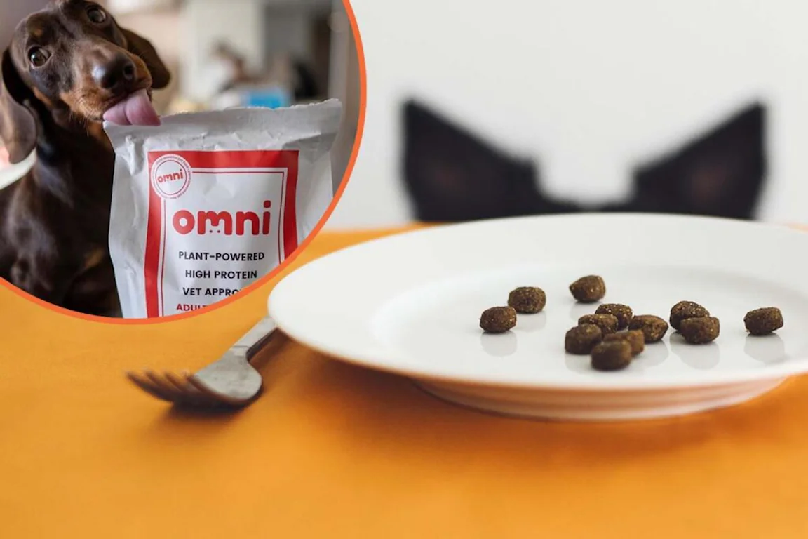 Company is looking to pay someone £5000 to eat dog food for 5 days