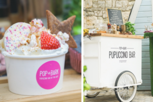 puppacino bar corgi cafe