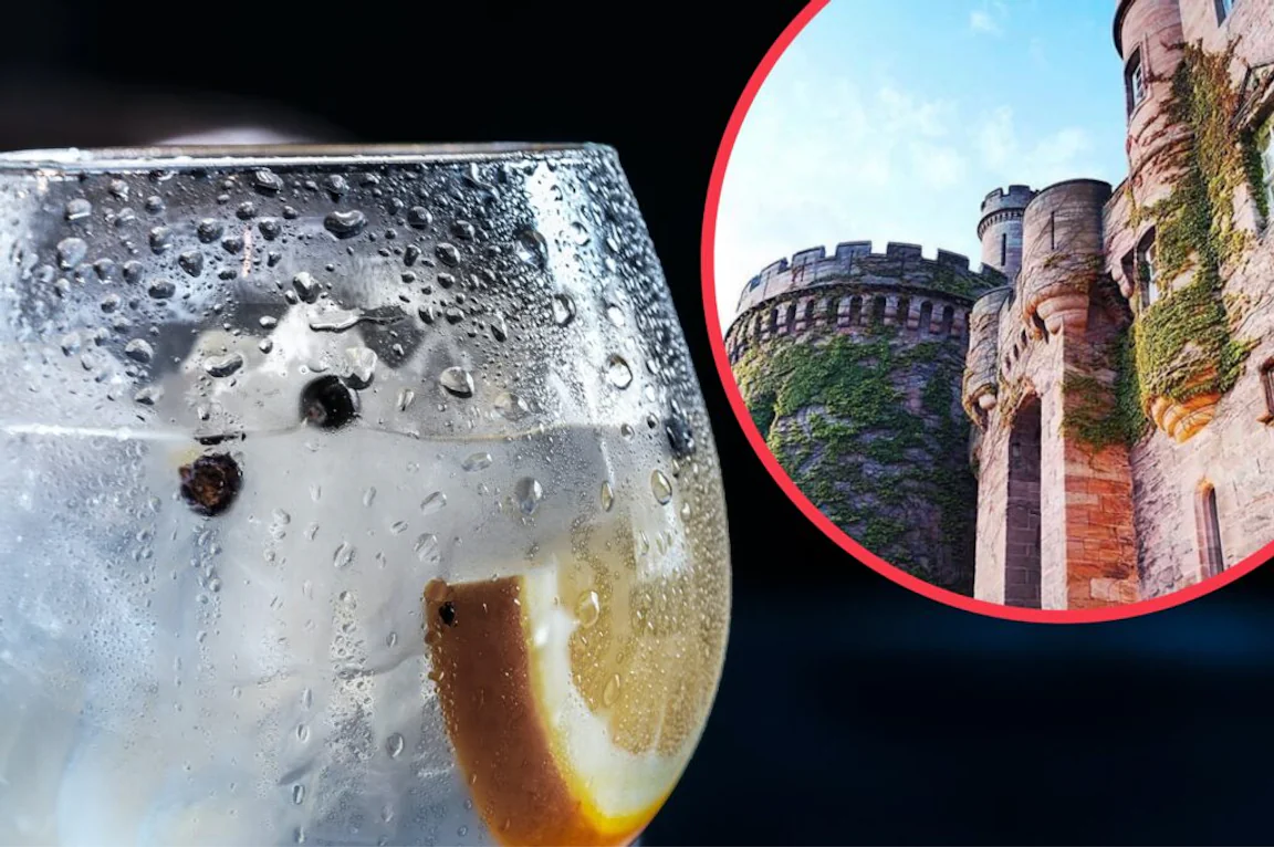 This company will pay a ‘gin-tern’ £500 to be its official gin taster
