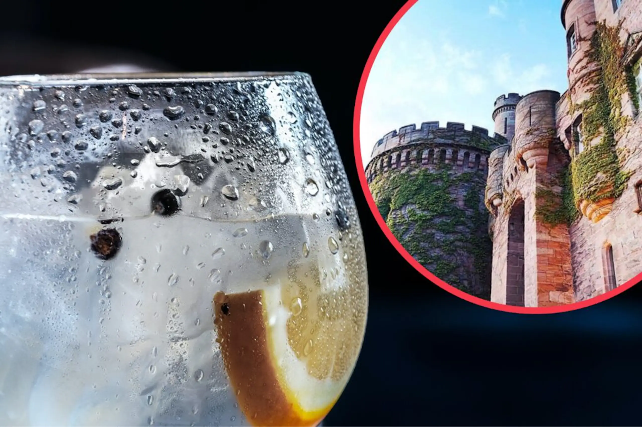 This company will pay a ‘gin-tern’ £500 to be its official gin taster