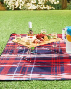 aldi specialbuys picnic range