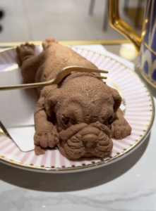 chocolate mousse dog
