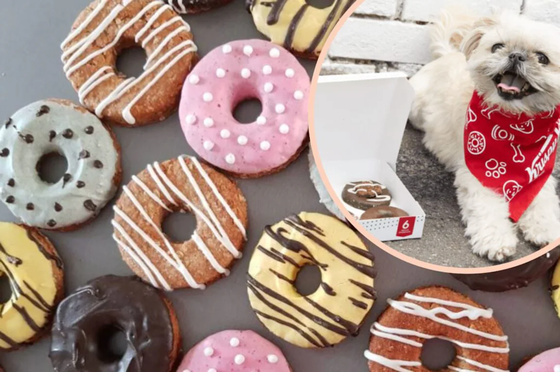 Krispy Kreme is making doughnuts for dogs