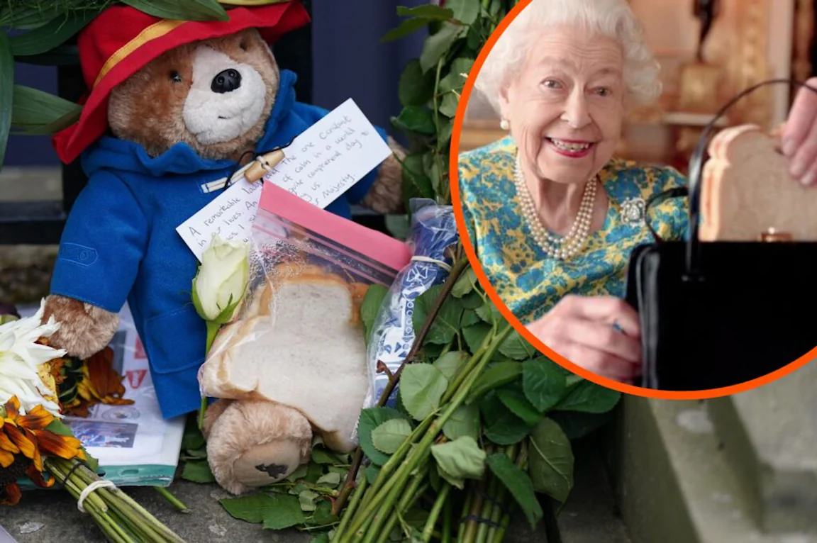 Public asked to stop leaving Paddington marmalade sandwiches in tribute to The Queen