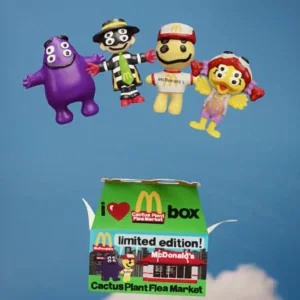 mcdonalds box cactus plant flea market