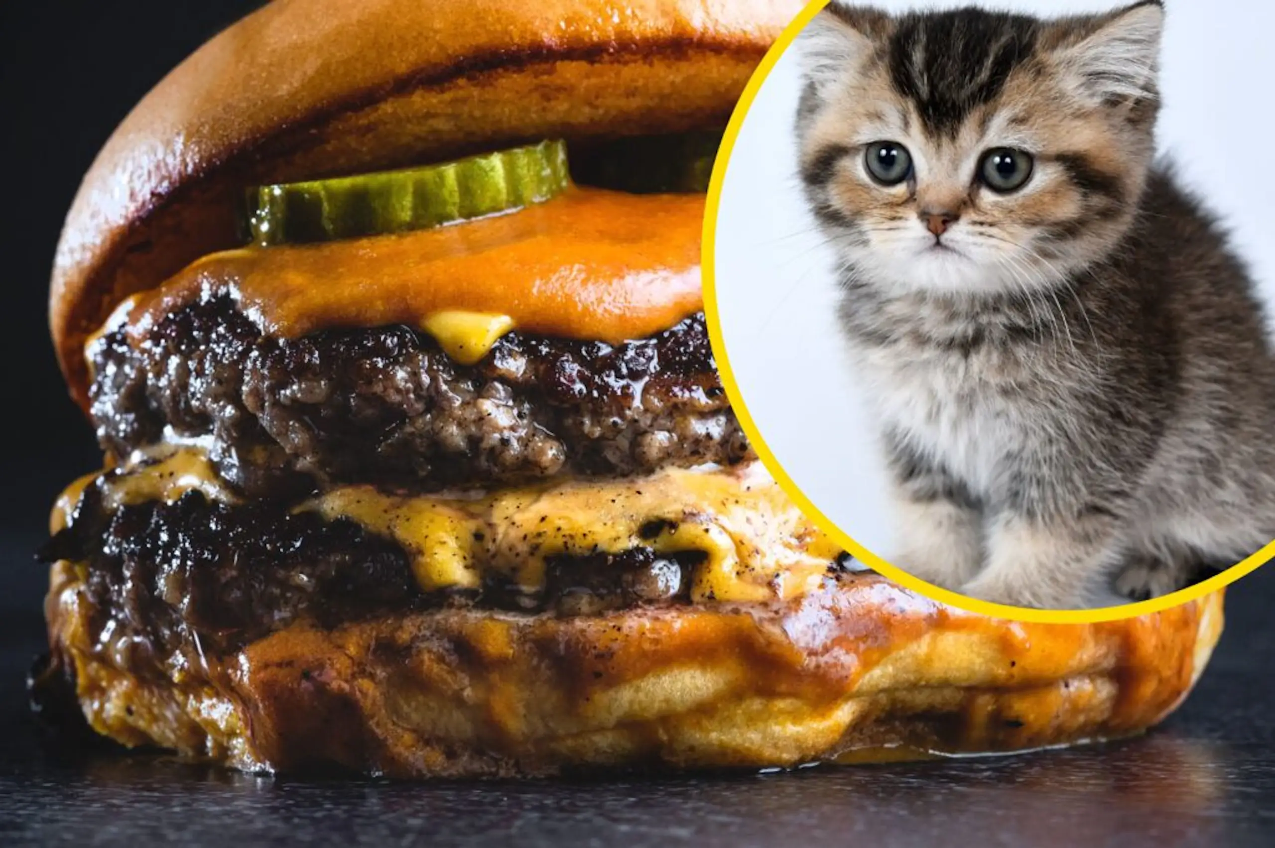 Vegan activist group suggests eating meat is no better than eating ‘kittens, puppies or ponies’