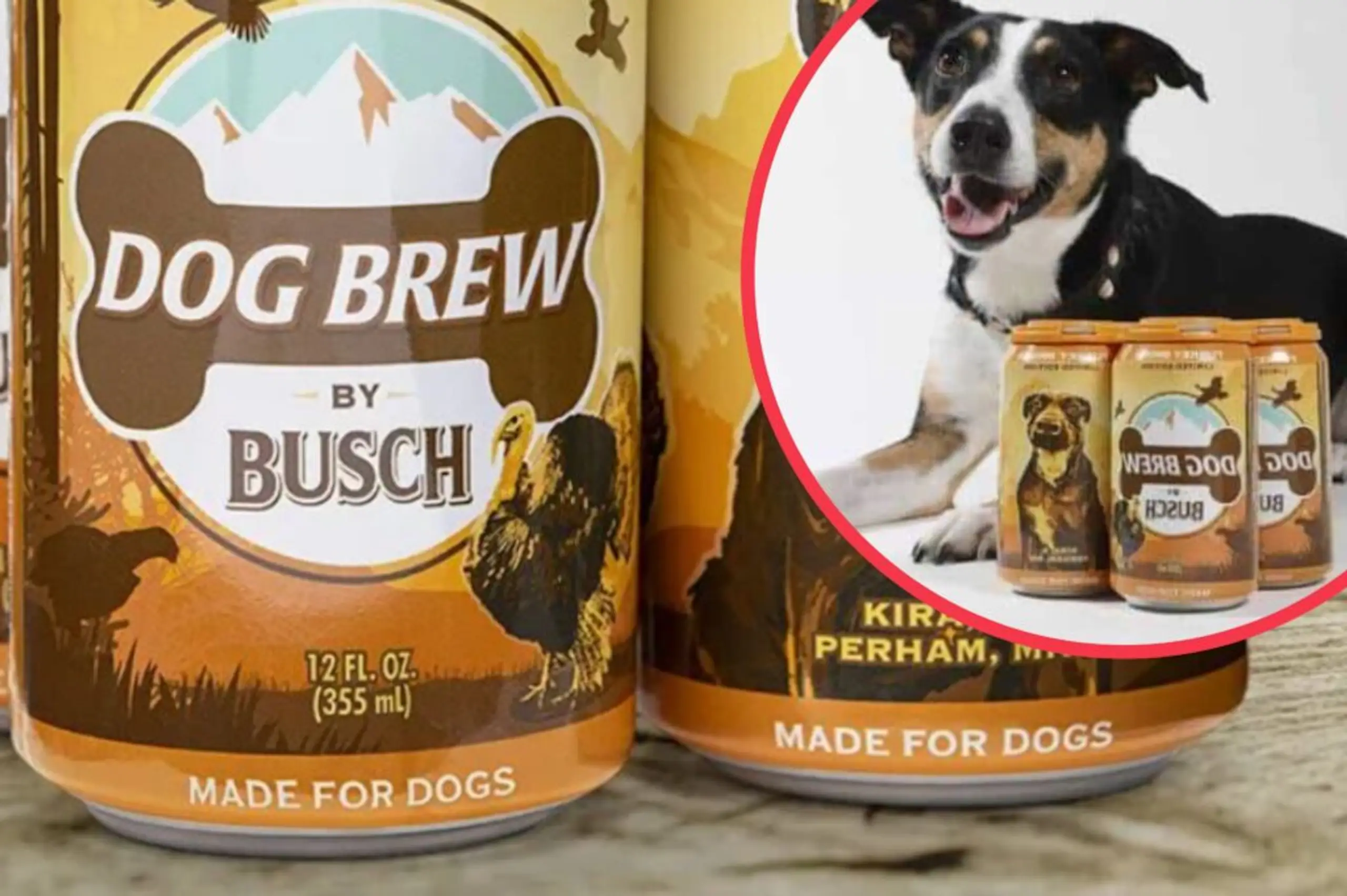 You can now buy a new beer for your dog (non alcoholic, obvs)