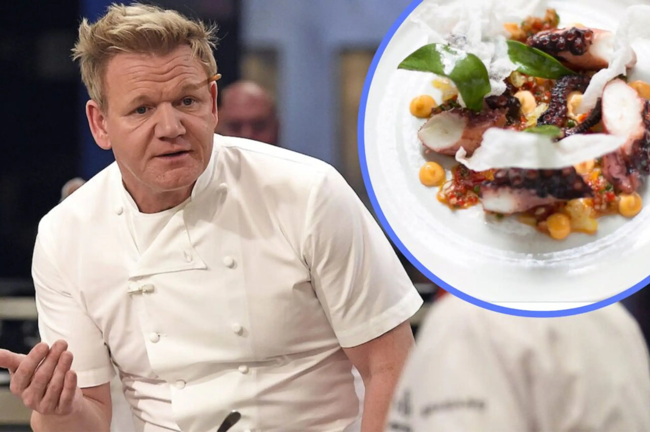 PETA threaten Gordon Ramsay with ‘ancient curse’ for serving octopus