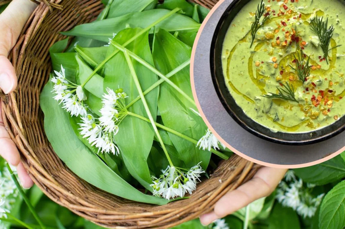 How to cook with wild garlic – a Twisted guide