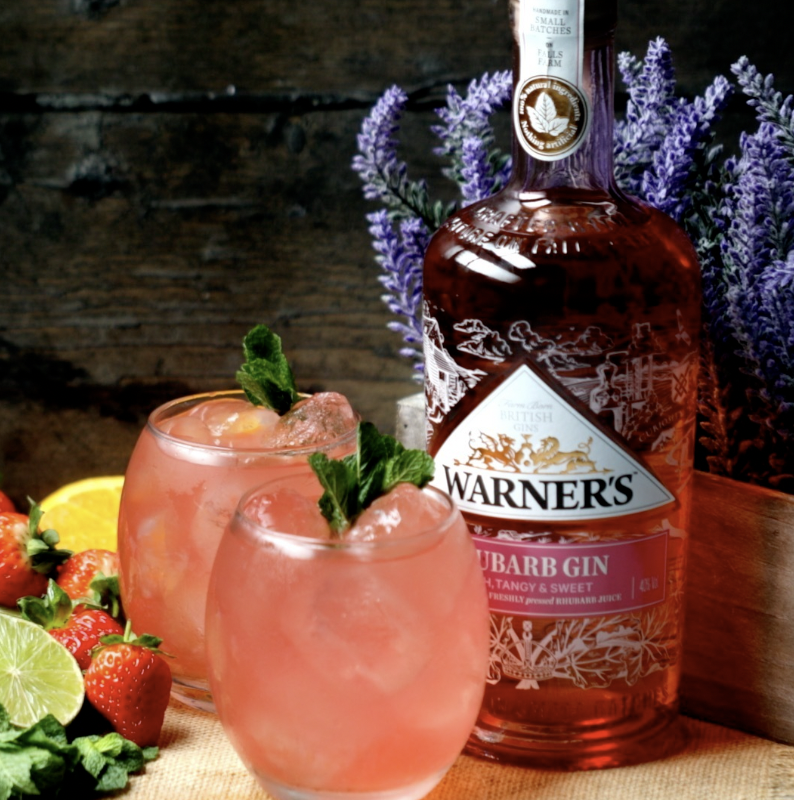 rhubarb recipes gin pitcher
