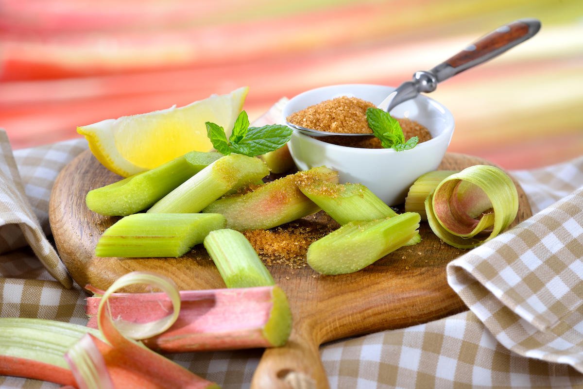 rhubarb can you eat raw